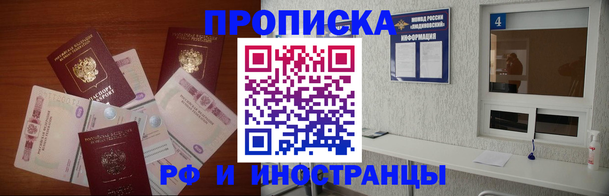 прописка ребенка в Щёлково